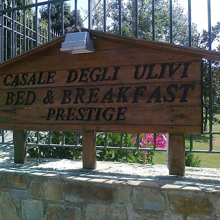 Bed and Breakfast Casale Degli Ulivi Prestige Altavilla Silentina Exteriér fotografie