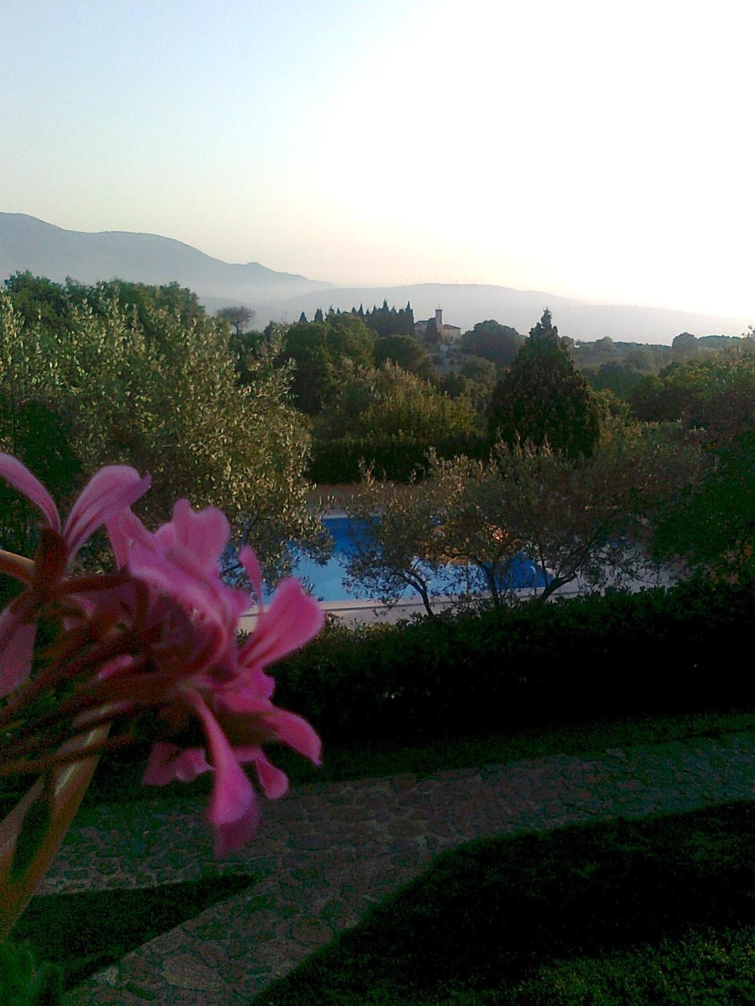 Bed and Breakfast Casale Degli Ulivi Prestige Altavilla Silentina Exteriér fotografie