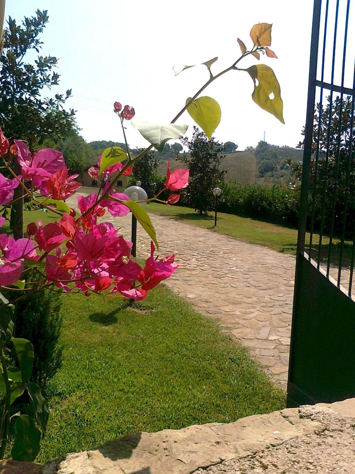 Bed and Breakfast Casale Degli Ulivi Prestige Altavilla Silentina Exteriér fotografie