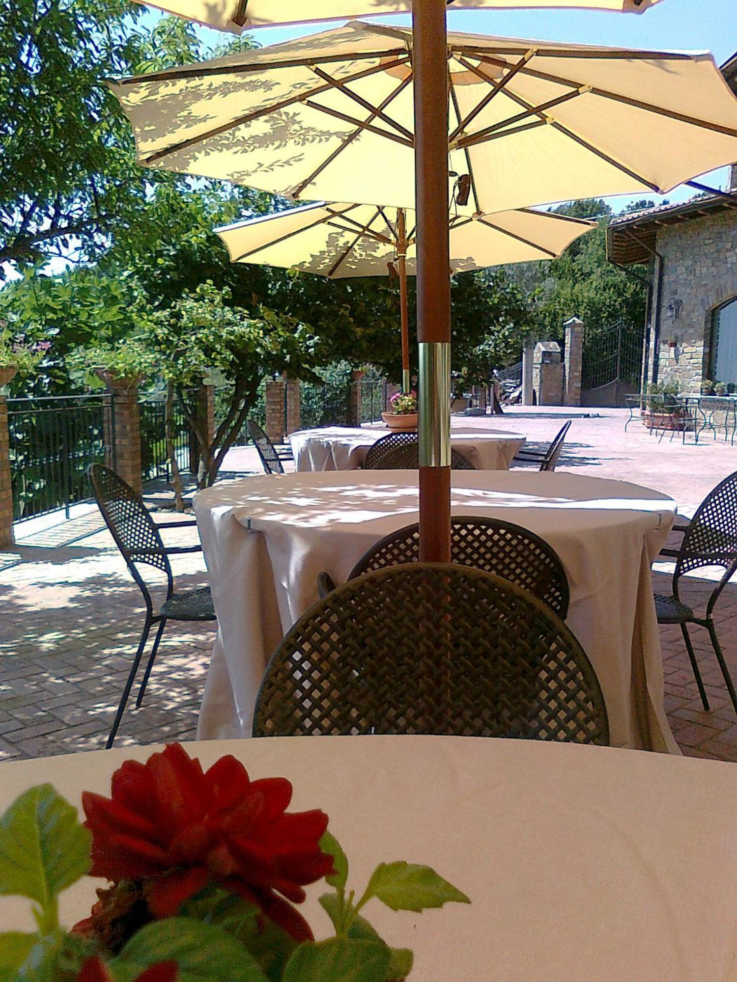 Bed and Breakfast Casale Degli Ulivi Prestige Altavilla Silentina Exteriér fotografie